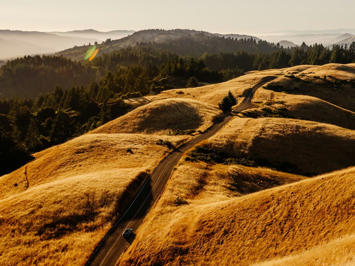 Golden rolling hills under a soft sky